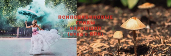mdpv Верхний Тагил
